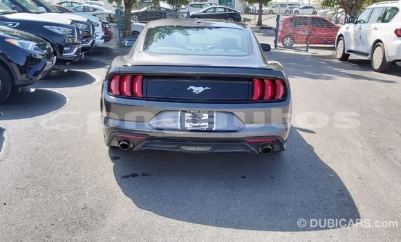 Buy Import Ford Mustang Other Car in Import - Dubai in Enga Buy Import Ford Mustang Other Car in Import - Dubai in Enga