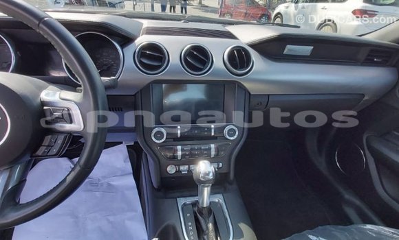 Buy Import Ford Mustang Other Car in Import - Dubai in Enga Buy Import Ford Mustang Other Car in Import - Dubai in Enga