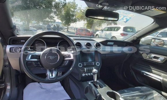 Buy Import Ford Mustang Other Car in Import - Dubai in Enga Buy Import Ford Mustang Other Car in Import - Dubai in Enga