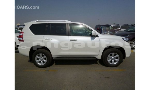 Buy Import Toyota Prado White Car in Import - Dubai in Enga Buy Import Toyota Prado White Car in Import - Dubai in Enga