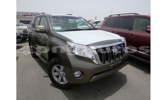 Buy Import Toyota Prado Brown Car in Import - Dubai in Enga Buy Import Toyota Prado Brown Car in Import - Dubai in Enga