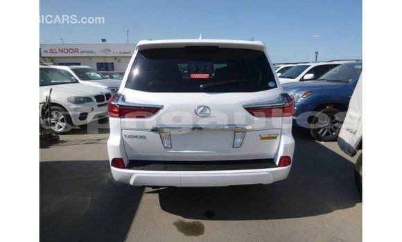 Buy Import Lexus LX White Car in Import - Dubai in Enga Buy Import Lexus LX White Car in Import - Dubai in Enga