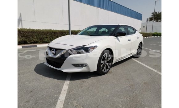 Buy Import Nissan Maxima White Car in Import - Dubai in Enga Buy Import Nissan Maxima White Car in Import - Dubai in Enga