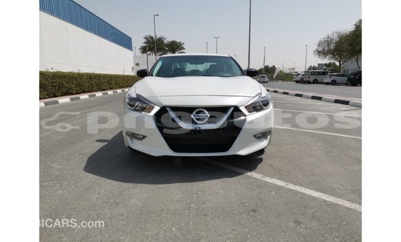 Buy Import Nissan Maxima White Car in Import - Dubai in Enga Buy Import Nissan Maxima White Car in Import - Dubai in Enga