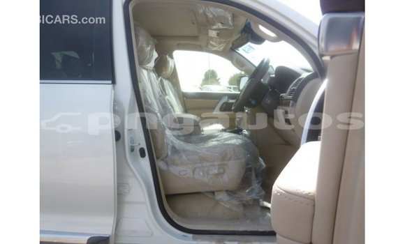 Buy Import Toyota Land Cruiser White Car in Import - Dubai in Enga Buy Import Toyota Land Cruiser White Car in Import - Dubai in Enga