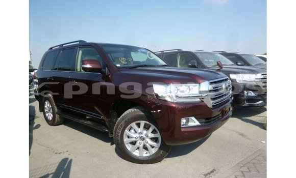 Buy Import Toyota Land Cruiser Brown Car in Import - Dubai in Enga Buy Import Toyota Land Cruiser Brown Car in Import - Dubai in Enga