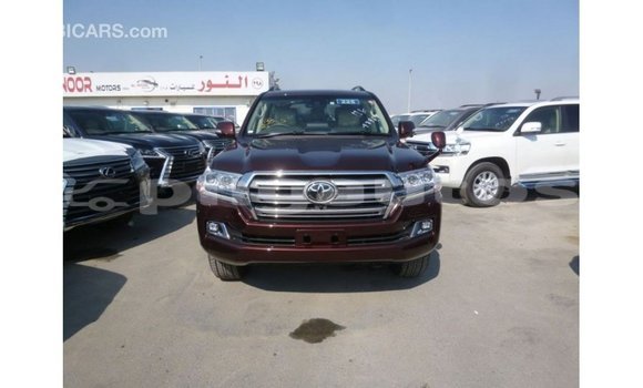 Buy Import Toyota Land Cruiser Brown Car in Import - Dubai in Enga Buy Import Toyota Land Cruiser Brown Car in Import - Dubai in Enga