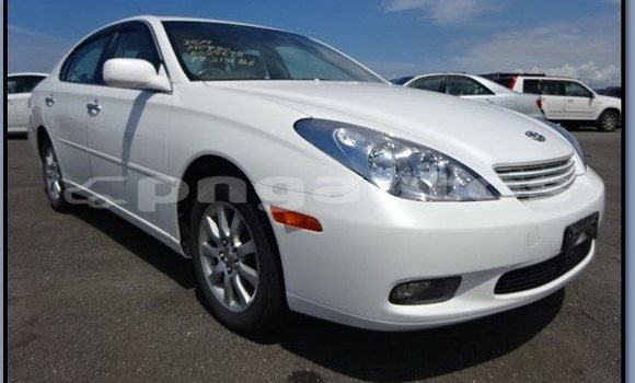 Buy Used Toyota Windom Other Car in Laiagam in Enga Buy Used Toyota Windom Other Car in Laiagam in Enga