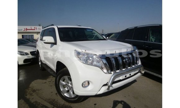 Buy Import Toyota Prado White Car in Import - Dubai in Enga Buy Import Toyota Prado White Car in Import - Dubai in Enga