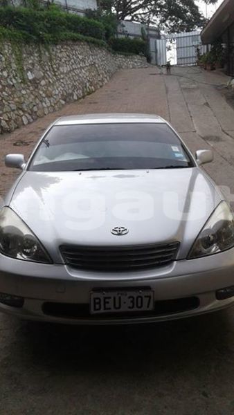 Big with watermark post id 5877 kbijh