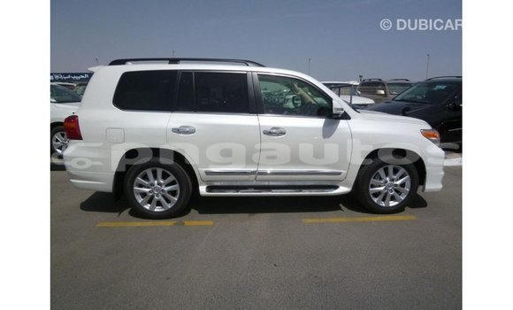 Buy Import Toyota Land Cruiser White Car in Import - Dubai in Enga Buy Import Toyota Land Cruiser White Car in Import - Dubai in Enga