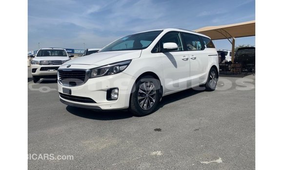 Buy Import Kia Carnival White Car in Import - Dubai in Enga Buy Import Kia Carnival White Car in Import - Dubai in Enga