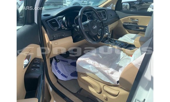 Buy Import Kia Carnival White Car in Import - Dubai in Enga Buy Import Kia Carnival White Car in Import - Dubai in Enga