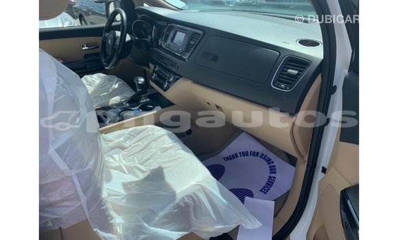 Buy Import Kia Carnival White Car in Import - Dubai in Enga Buy Import Kia Carnival White Car in Import - Dubai in Enga