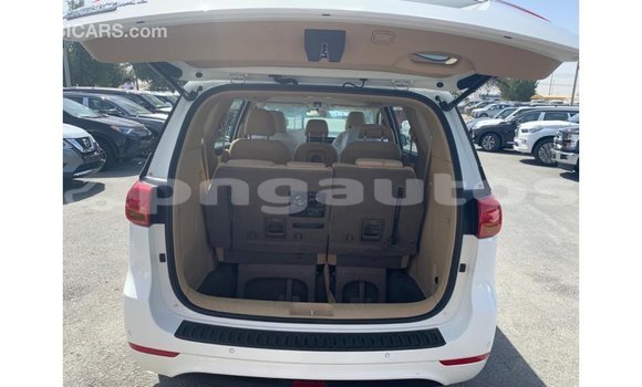 Buy Import Kia Carnival White Car in Import - Dubai in Enga Buy Import Kia Carnival White Car in Import - Dubai in Enga