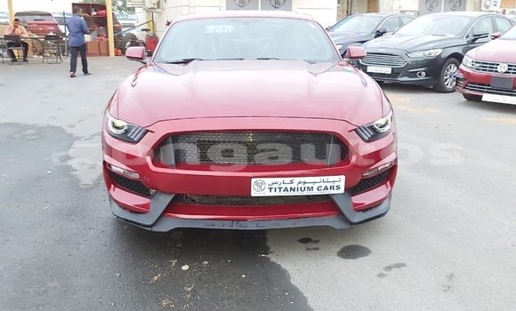 Buy Import Ford Mustang Red Car in Import - Dubai in Enga Buy Import Ford Mustang Red Car in Import - Dubai in Enga