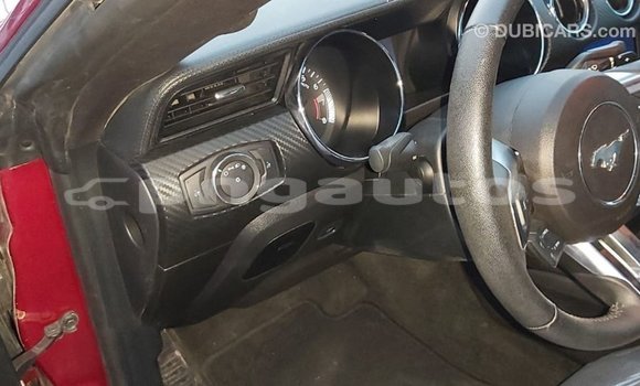 Buy Import Ford Mustang Red Car in Import - Dubai in Enga Buy Import Ford Mustang Red Car in Import - Dubai in Enga