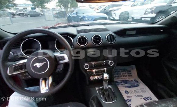 Buy Import Ford Mustang Red Car in Import - Dubai in Enga Buy Import Ford Mustang Red Car in Import - Dubai in Enga