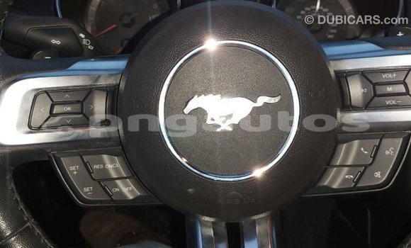 Buy Import Ford Mustang Red Car in Import - Dubai in Enga Buy Import Ford Mustang Red Car in Import - Dubai in Enga