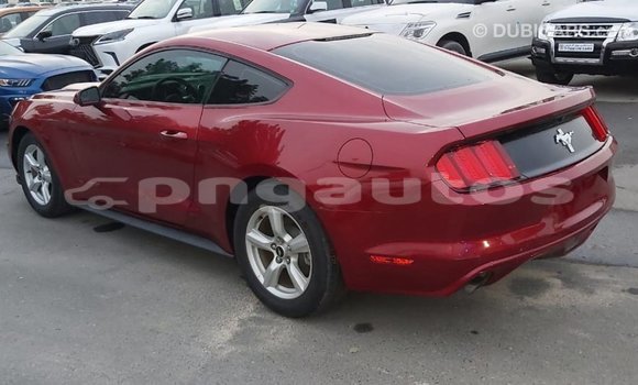 Buy Import Ford Mustang Red Car in Import - Dubai in Enga Buy Import Ford Mustang Red Car in Import - Dubai in Enga