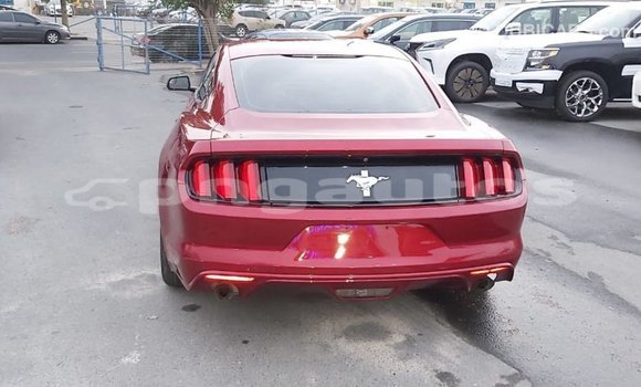 Buy Import Ford Mustang Red Car in Import - Dubai in Enga Buy Import Ford Mustang Red Car in Import - Dubai in Enga