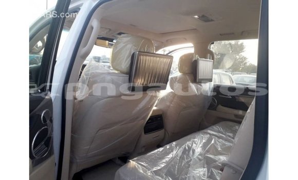 Buy Import Lexus LX White Car in Import - Dubai in Enga Buy Import Lexus LX White Car in Import - Dubai in Enga