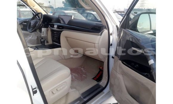 Buy Import Lexus LX White Car in Import - Dubai in Enga Buy Import Lexus LX White Car in Import - Dubai in Enga