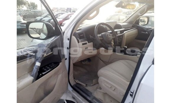 Buy Import Lexus LX White Car in Import - Dubai in Enga Buy Import Lexus LX White Car in Import - Dubai in Enga