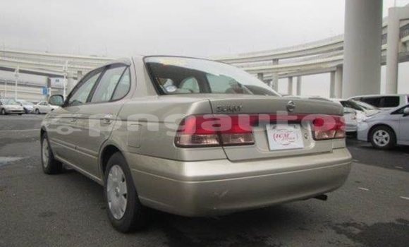 Buy Used Nissan Sunny Other Car in Porgera in Enga Buy Used Nissan Sunny Other Car in Porgera in Enga