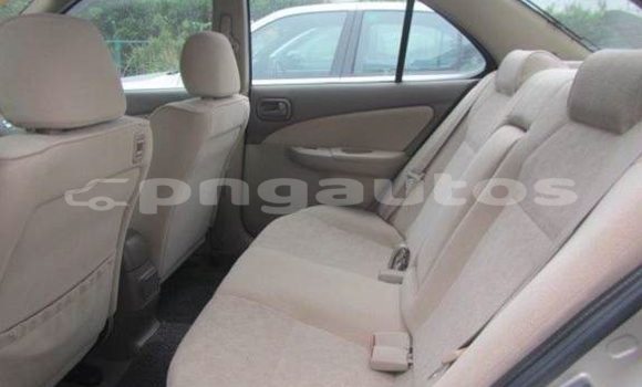 Buy Used Nissan Sunny Other Car in Porgera in Enga Buy Used Nissan Sunny Other Car in Porgera in Enga
