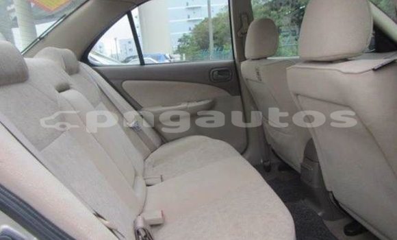 Buy Used Nissan Sunny Other Car in Porgera in Enga Buy Used Nissan Sunny Other Car in Porgera in Enga