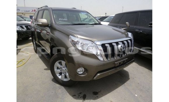 Buy Import Toyota Prado Brown Car in Import - Dubai in Enga Buy Import Toyota Prado Brown Car in Import - Dubai in Enga