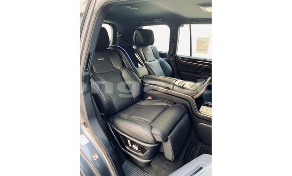 Buy Import Lexus LX Other Car in Import - Dubai in Enga Buy Import Lexus LX Other Car in Import - Dubai in Enga