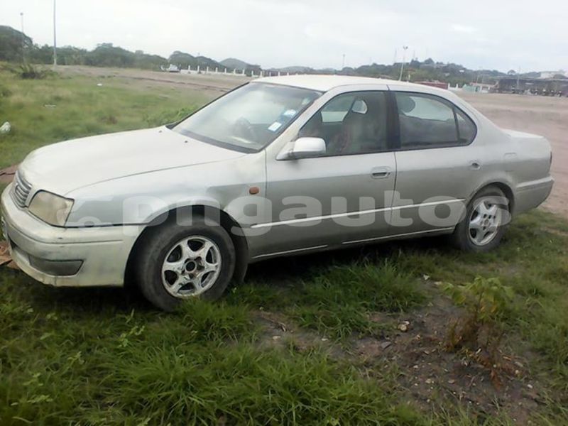 Big with watermark post id 9270 ncogc