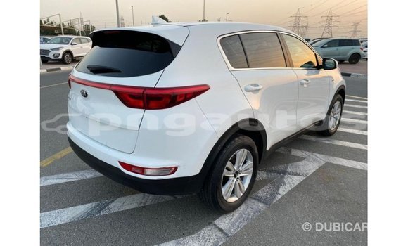 Buy Import Kia Sportage White Car in Import - Dubai in Enga Buy Import Kia Sportage White Car in Import - Dubai in Enga