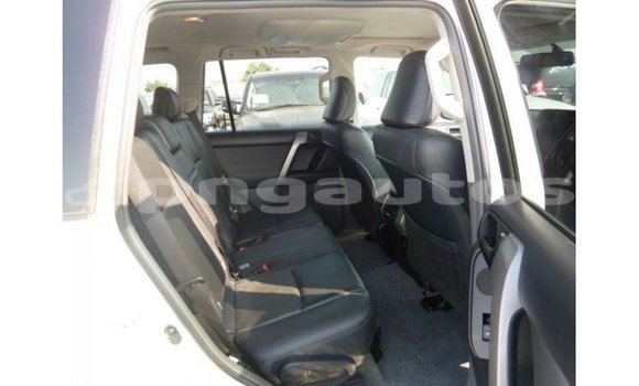 Buy Import Toyota Prado White Car in Import - Dubai in Enga Buy Import Toyota Prado White Car in Import - Dubai in Enga
