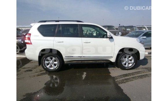 Buy Import Toyota Prado White Car in Import - Dubai in Enga Buy Import Toyota Prado White Car in Import - Dubai in Enga
