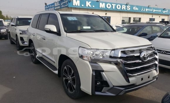 Buy Import Toyota Land Cruiser White Car in Import - Dubai in Enga Buy Import Toyota Land Cruiser White Car in Import - Dubai in Enga