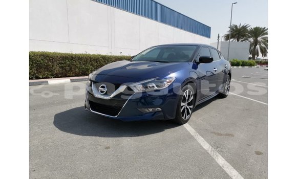 Buy Import Nissan Maxima Blue Car in Import - Dubai in Enga Buy Import Nissan Maxima Blue Car in Import - Dubai in Enga