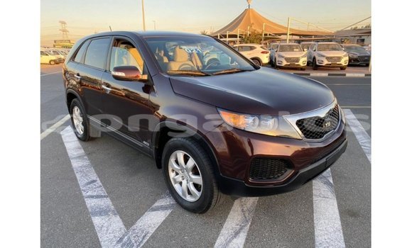 Buy Import Kia Sorento Brown Car in Import - Dubai in Enga Buy Import Kia Sorento Brown Car in Import - Dubai in Enga