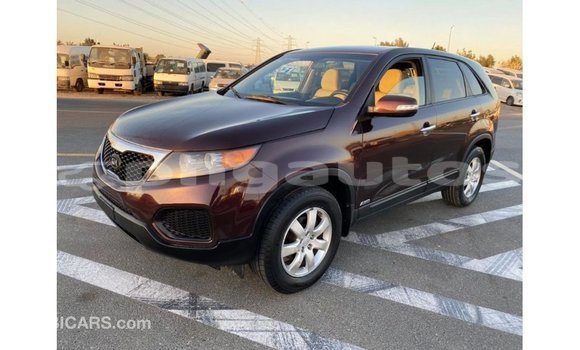 Buy Import Kia Sorento Brown Car in Import - Dubai in Enga Buy Import Kia Sorento Brown Car in Import - Dubai in Enga