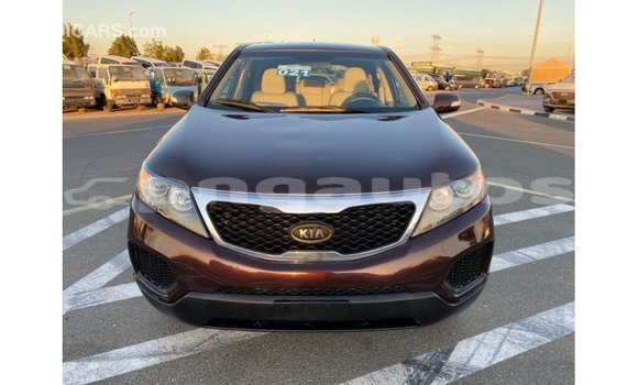 Buy Import Kia Sorento Brown Car in Import - Dubai in Enga Buy Import Kia Sorento Brown Car in Import - Dubai in Enga