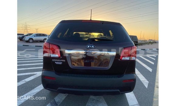 Buy Import Kia Sorento Brown Car in Import - Dubai in Enga Buy Import Kia Sorento Brown Car in Import - Dubai in Enga