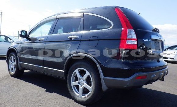 Buy Used Honda CRV Other Car in Wabag in Enga Buy Used Honda CRV Other Car in Wabag in Enga