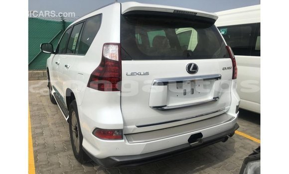 Buy Import Lexus GX White Car in Import - Dubai in Enga Buy Import Lexus GX White Car in Import - Dubai in Enga