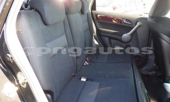 Buy Used Honda CRV Other Car in Wabag in Enga Buy Used Honda CRV Other Car in Wabag in Enga