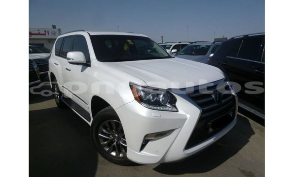 Buy Import Lexus GX White Car in Import - Dubai in Enga Buy Import Lexus GX White Car in Import - Dubai in Enga