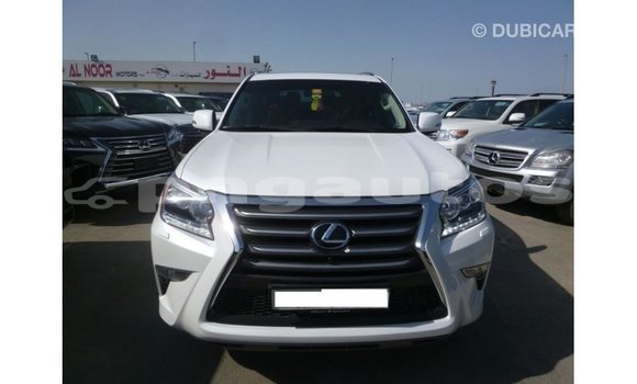 Buy Import Lexus GX White Car in Import - Dubai in Enga Buy Import Lexus GX White Car in Import - Dubai in Enga
