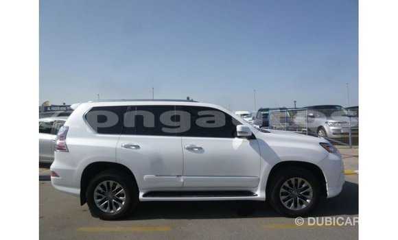 Buy Import Lexus GX White Car in Import - Dubai in Enga Buy Import Lexus GX White Car in Import - Dubai in Enga