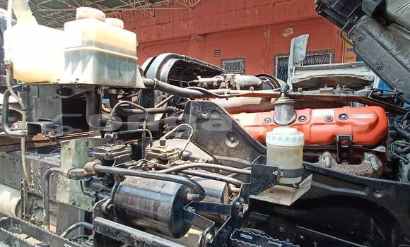 Buy Used Isuzu FTR 850 Green Truck in Pomio in East New Britain Buy Used Isuzu FTR 850 Green Truck in Pomio in East New Britain